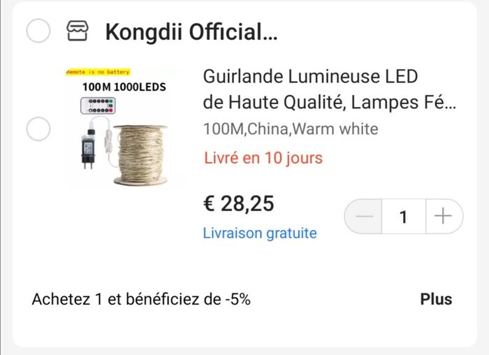 Plafond salle des fêtes 4