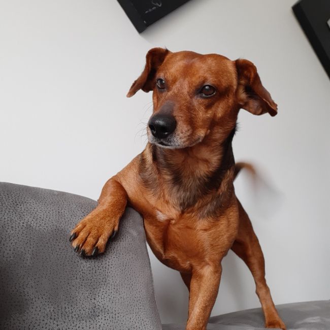 La mignonnerie du soir 🥰 12