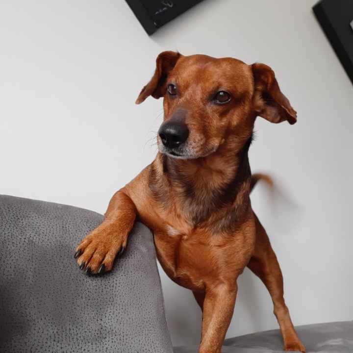 La mignonnerie du soir 🥰 - 1