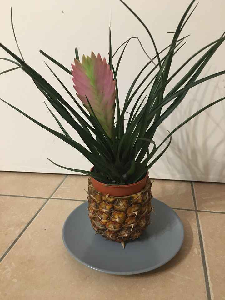  Essai cache pot ananas 🍍 🌺 - 2