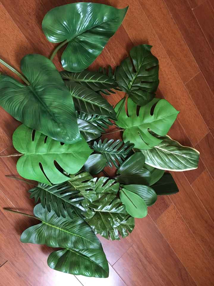  Feuilles tropicales - 1