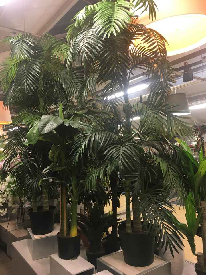  Plantes artificielles chez Truffaut!! - 1