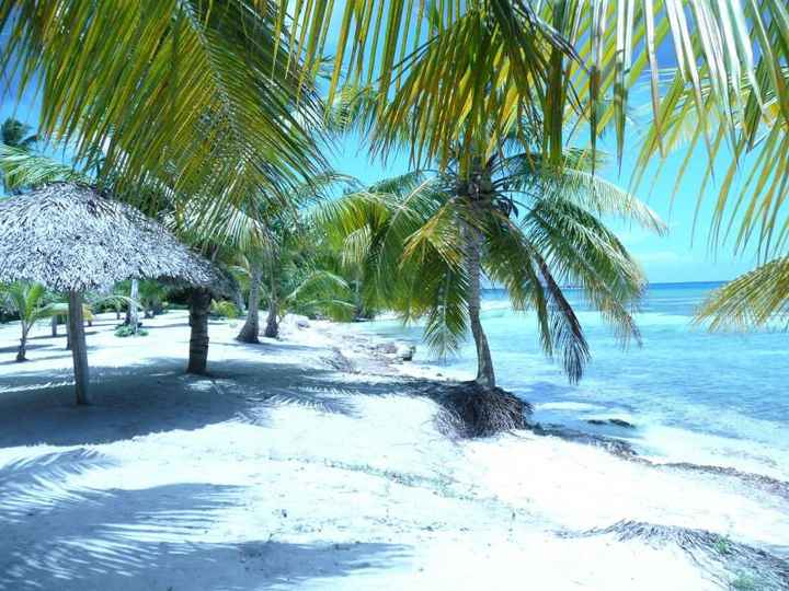  Tropical wedding: la lune de miel - 2