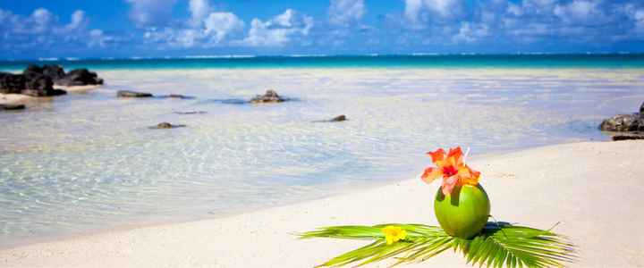  Tropical wedding: la lune de miel - 5