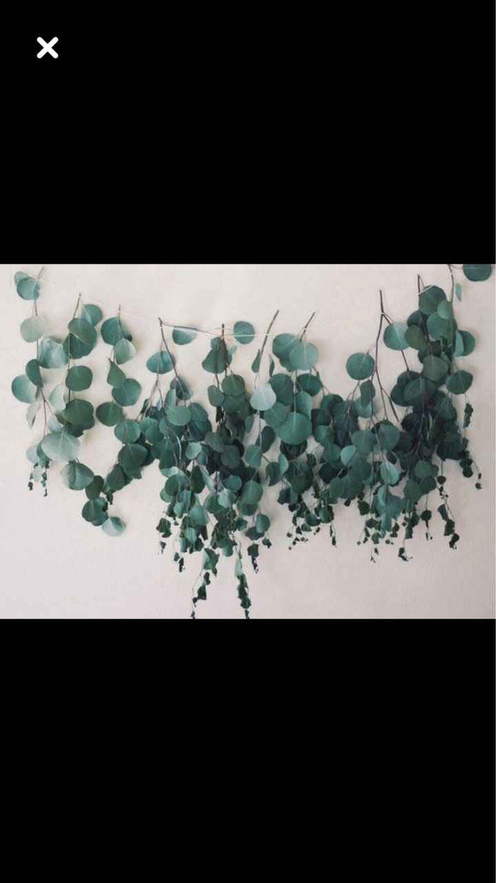  Tendance eucalyptus 🌱 - 5