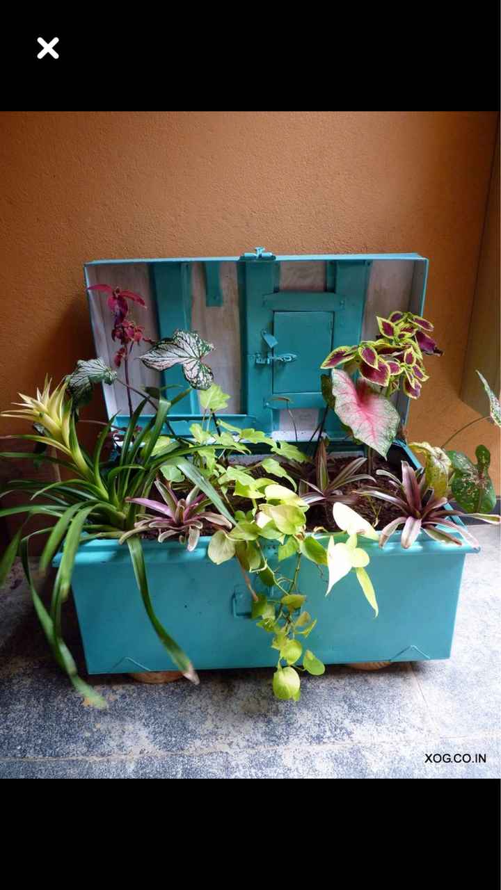  Mon urne!! ✨🌴✨ - 1