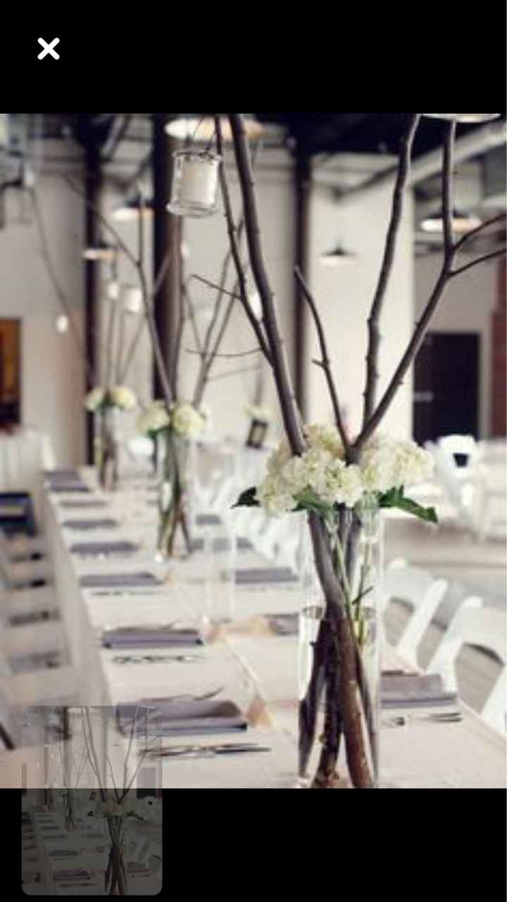  L’hortensia dans tous ses états 🤩🤩 - 1