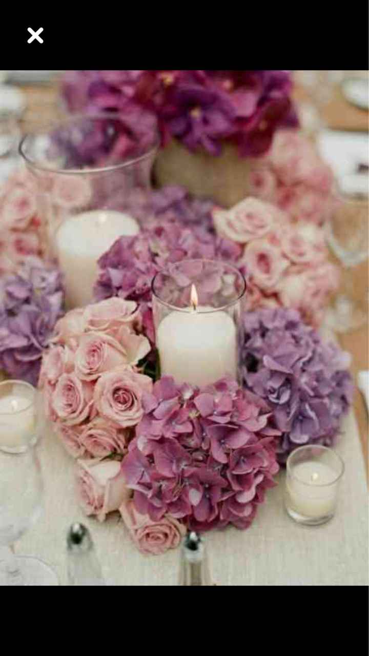  L’hortensia dans tous ses états 🤩🤩 - 2