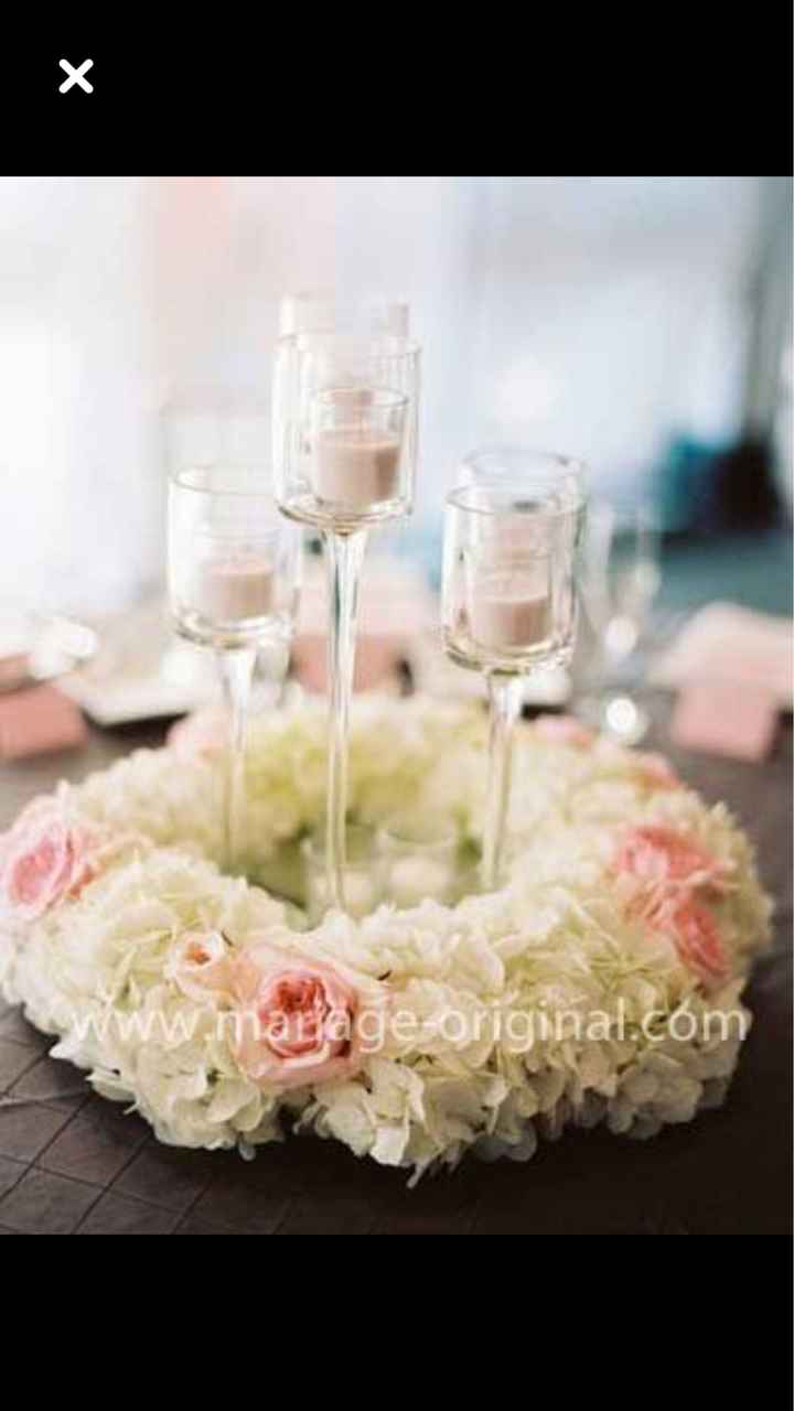  L’hortensia dans tous ses états 🤩🤩 - 3