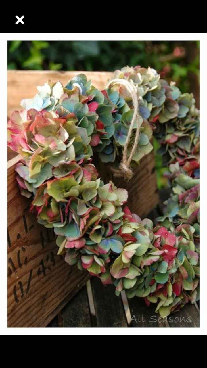 L’hortensia dans tous ses états 🤩🤩 - 6