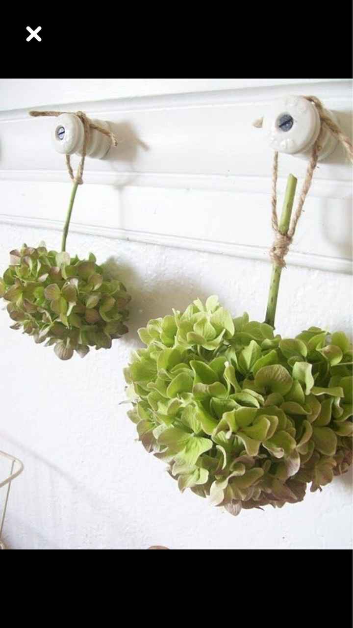 L’hortensia dans tous ses états 🤩🤩 - 7