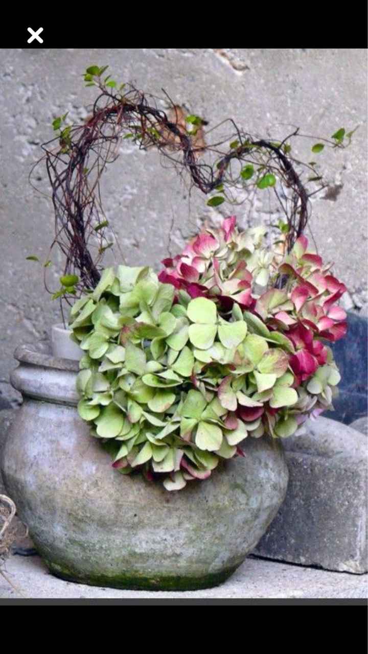  L’hortensia dans tous ses états 🤩🤩 - 8