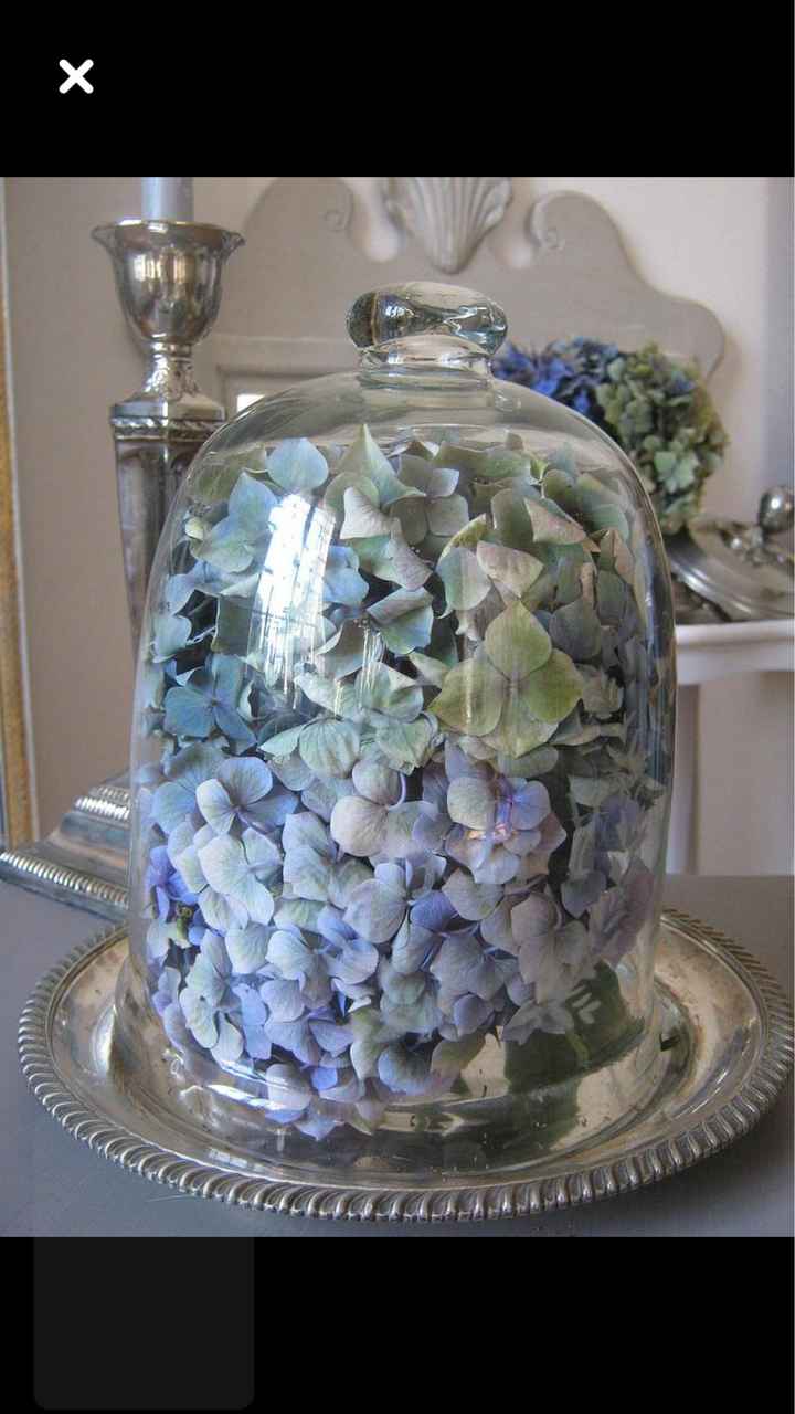  L’hortensia dans tous ses états 🤩🤩 - 9