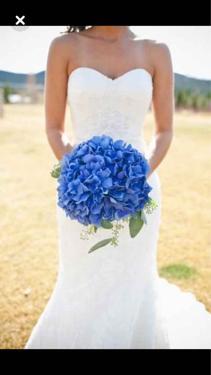  L’hortensia dans tous ses états 🤩🤩 - 10