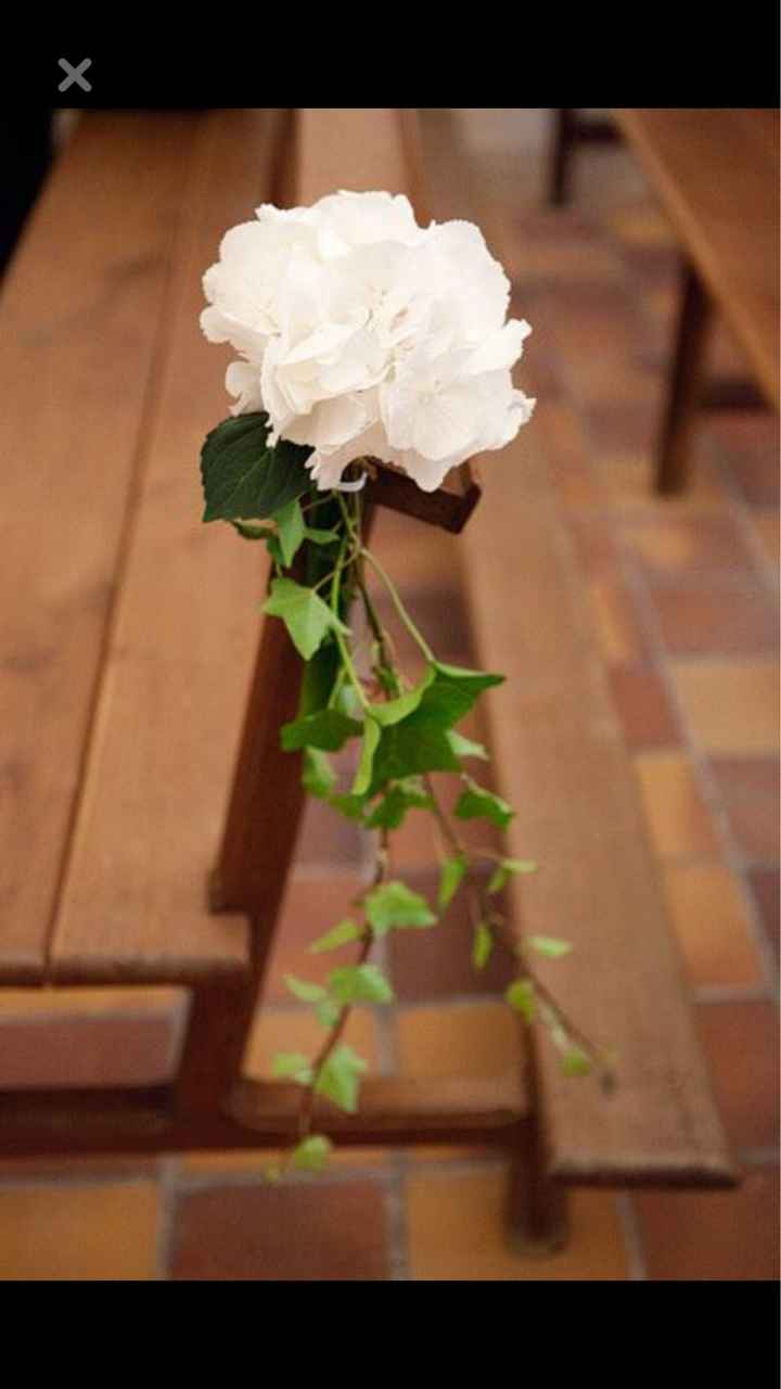  L’hortensia dans tous ses états 🤩🤩 - 12