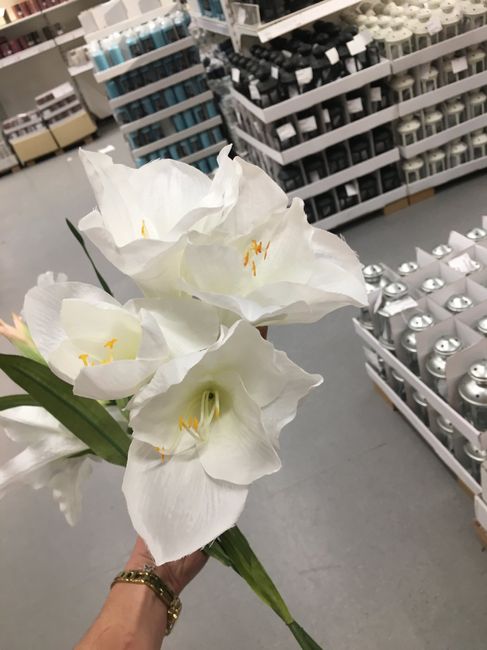 Feuillages et plantes chez Ikea ❤️🎍💐 5