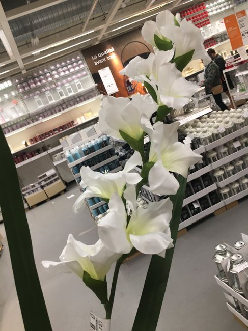 Feuillages et plantes chez Ikea ❤️🎍💐 6