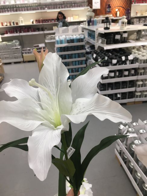 Feuillages et plantes chez Ikea ❤️🎍💐 7