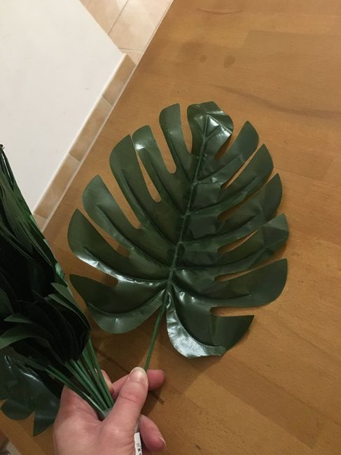  Et voilà la 4eme de tonton Aliexpress 🌿🌴 - 2