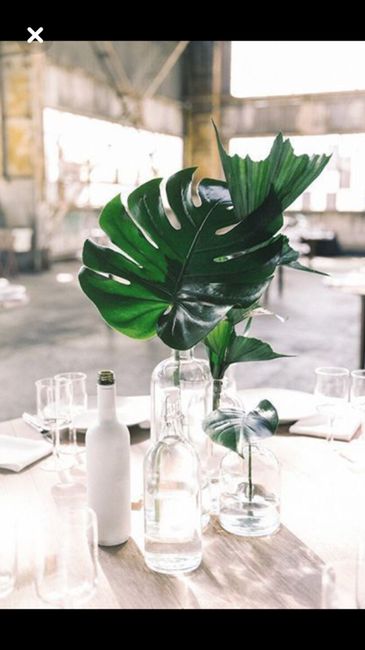  Et voilà la 4eme de tonton Aliexpress 🌿🌴 - 4