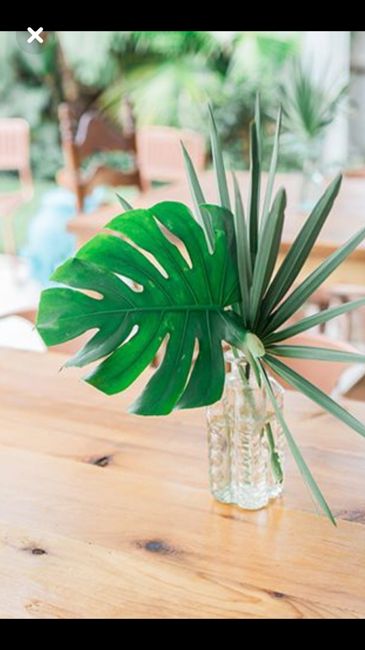  Et voilà la 4eme de tonton Aliexpress 🌿🌴 - 6