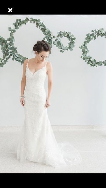 Tendance eucalyptus 🌱 7