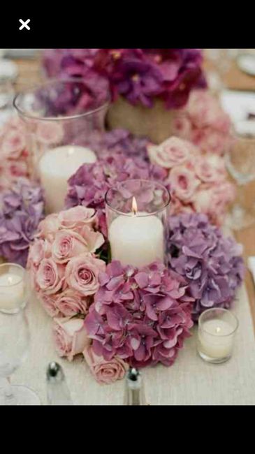  L’hortensia dans tous ses états 🤩🤩 - 2