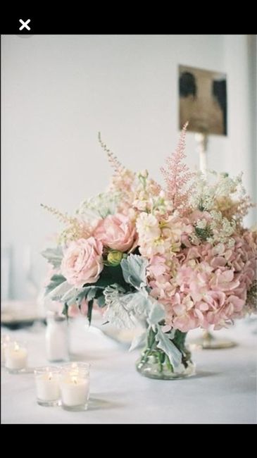  L’hortensia dans tous ses états 🤩🤩 - 5