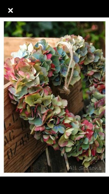  L’hortensia dans tous ses états 🤩🤩 - 6