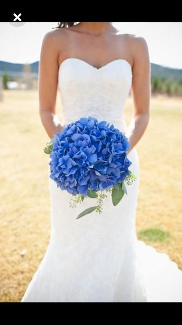  L’hortensia dans tous ses états 🤩🤩 - 10