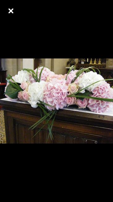  L’hortensia dans tous ses états 🤩🤩 - 11