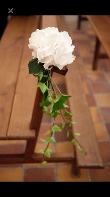  L’hortensia dans tous ses états 🤩🤩 - 12