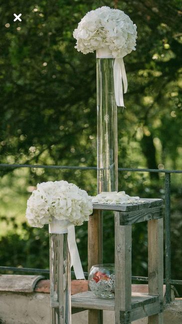  L’hortensia dans tous ses états 🤩🤩 - 15