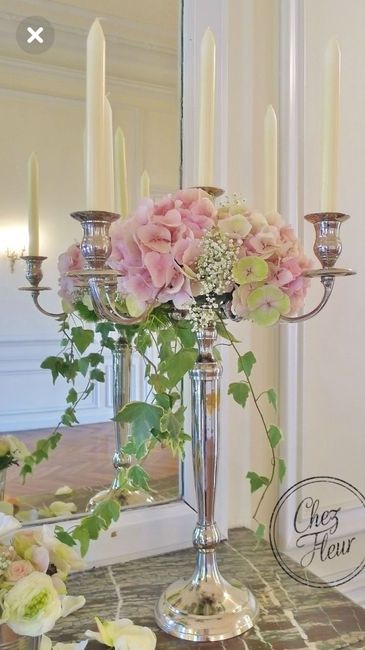  L’hortensia dans tous ses états 🤩🤩 - 14