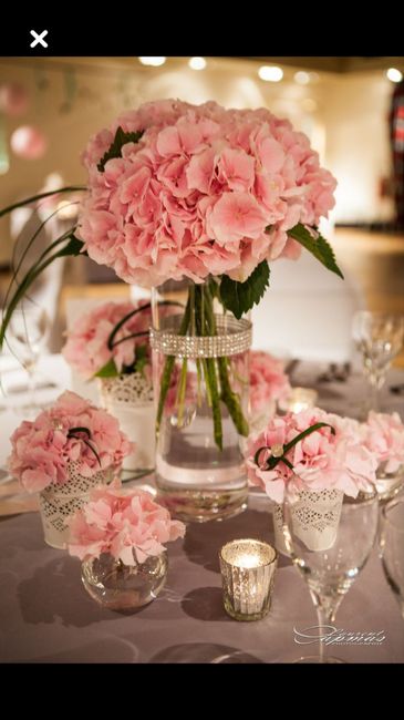  L’hortensia dans tous ses états 🤩🤩 - 16