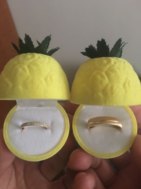 Porte alliance tropicalement ananas 🍍 🤣 - 2