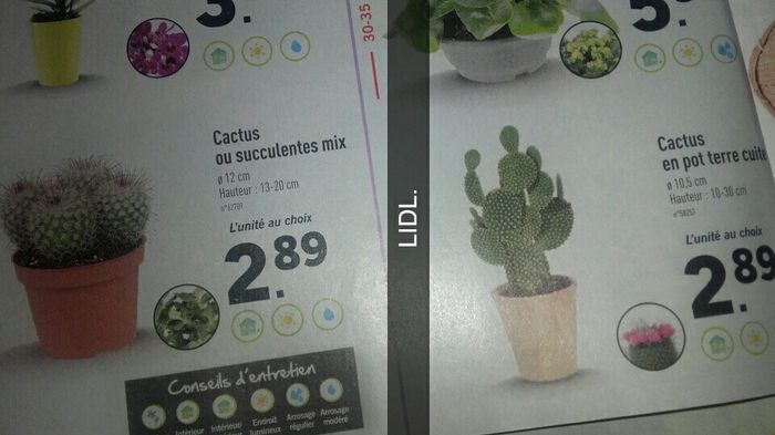 Les Pubs! - 2