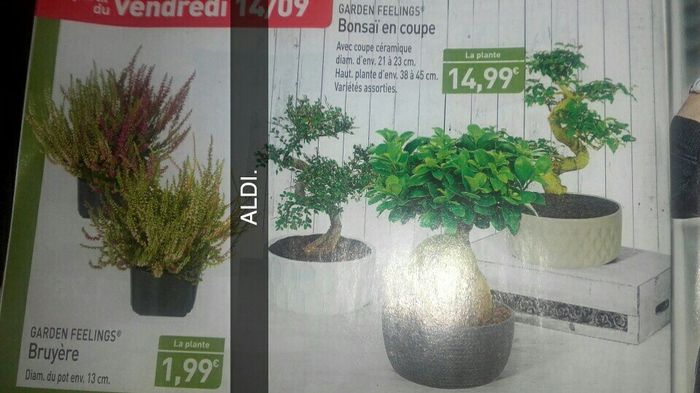 Les Pubs! - 4