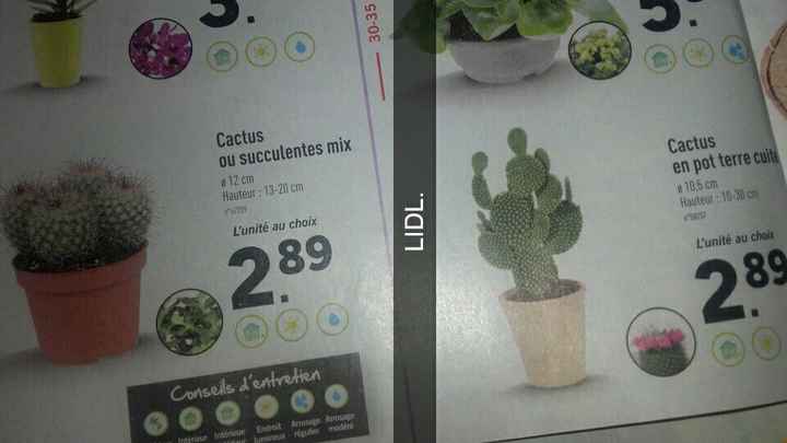 Les Pubs! - 2