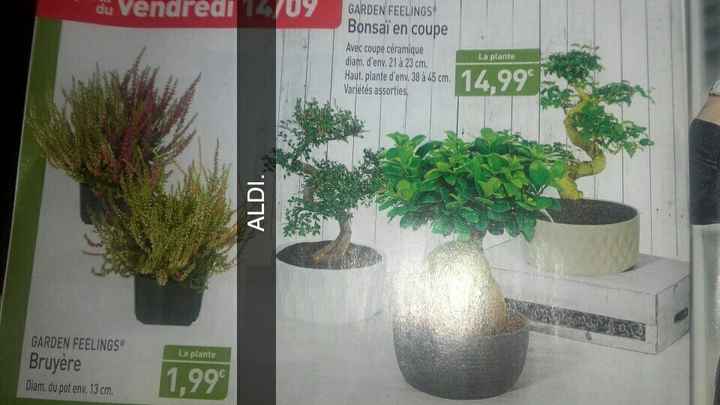 Les Pubs! - 4