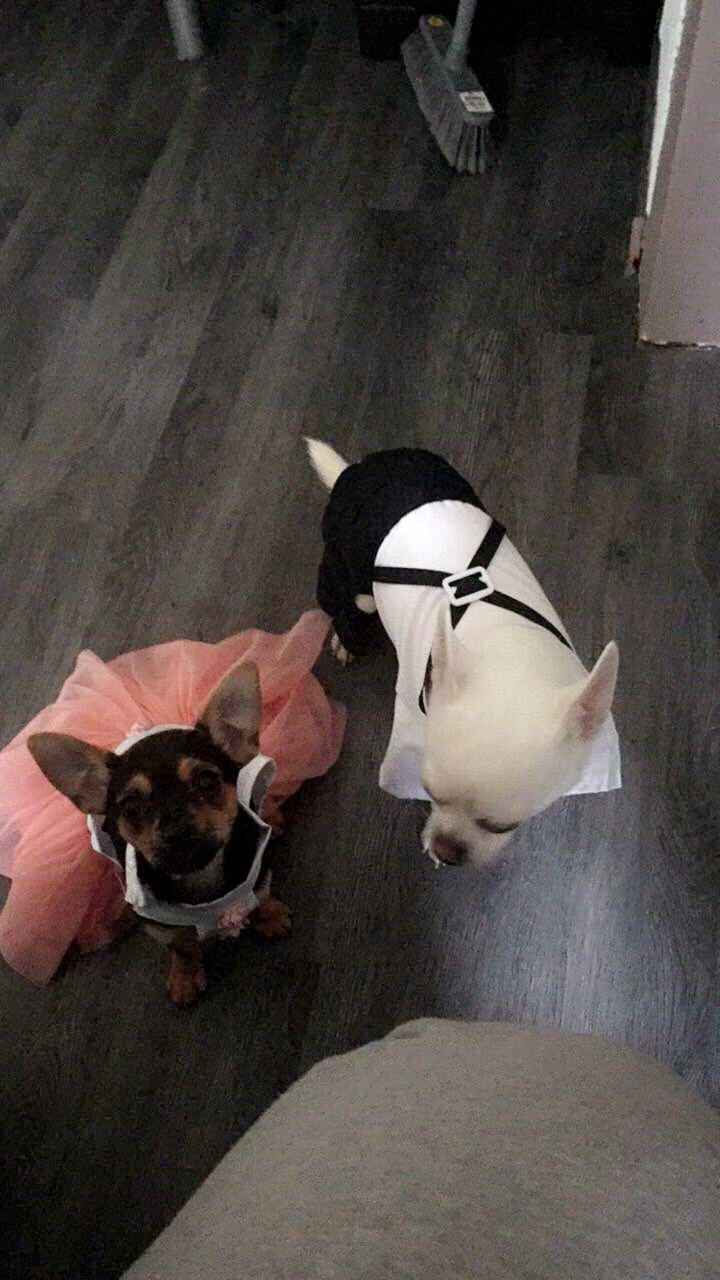 Nos bébés à notre mariage . - 1