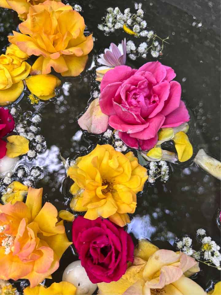 La cérémonie Laïque 🌸 - 2