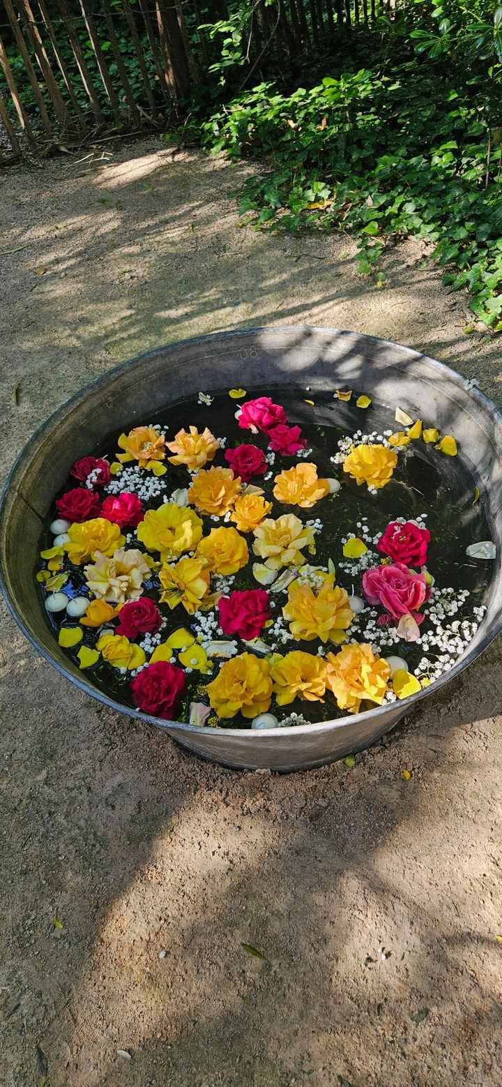 La cérémonie Laïque 🌸 - 5