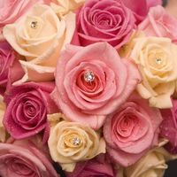 Mon bouquet de fleur - 1