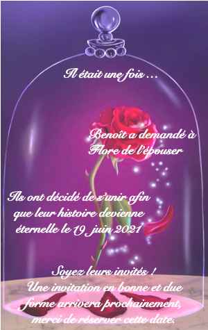 Nos save the date thème La Belle et la Bête - 1