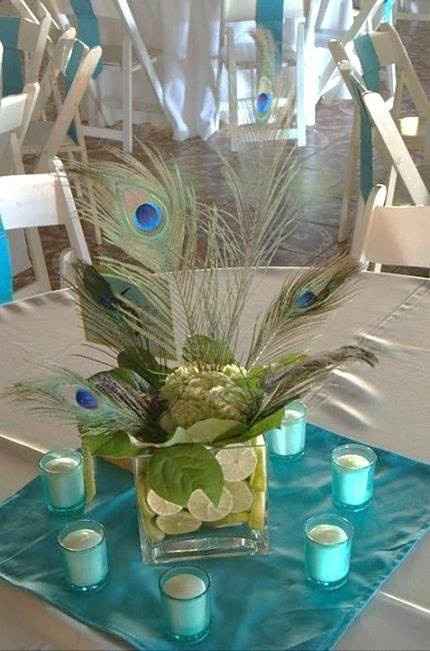 plume paon/turquoise