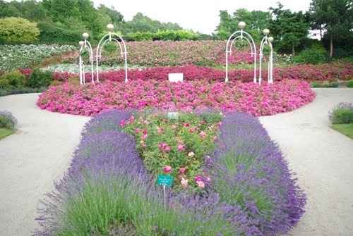 pour des photo reussi un petit tour a la coline au oiseau