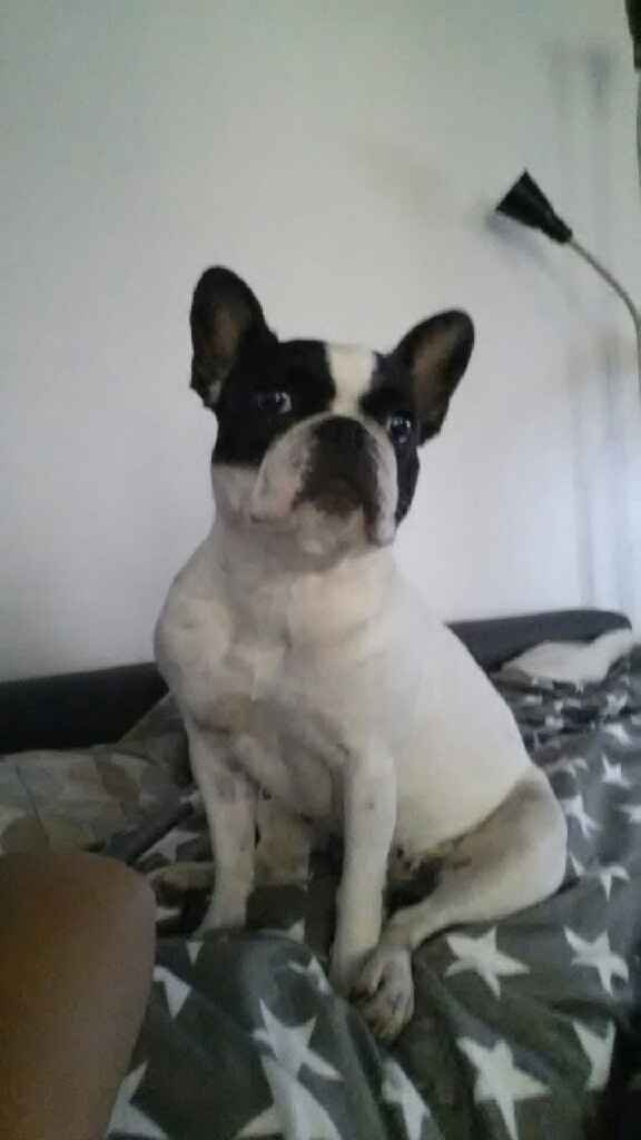 Montrez nous vos bagues de fiançailles :d - 1