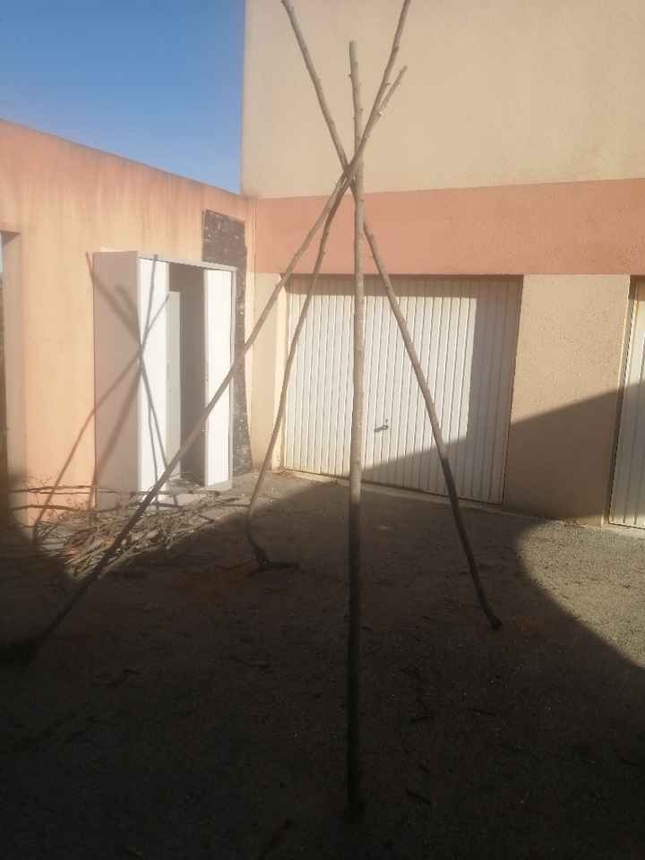 Arche mariage laïque - 1