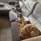 Lucie